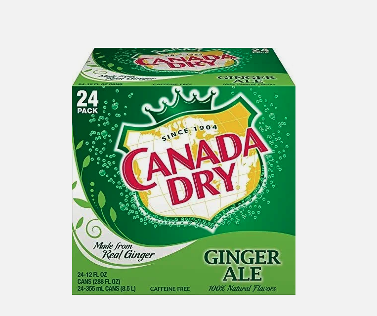 Canada Dry Ginger Ale Can 355ml 24 Pack