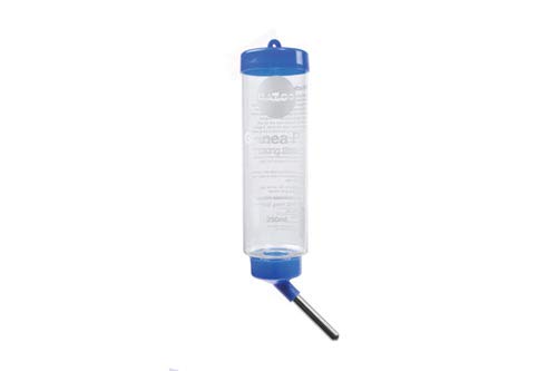 Kazoo Guinea Pig Drinking Bottle - 250ml