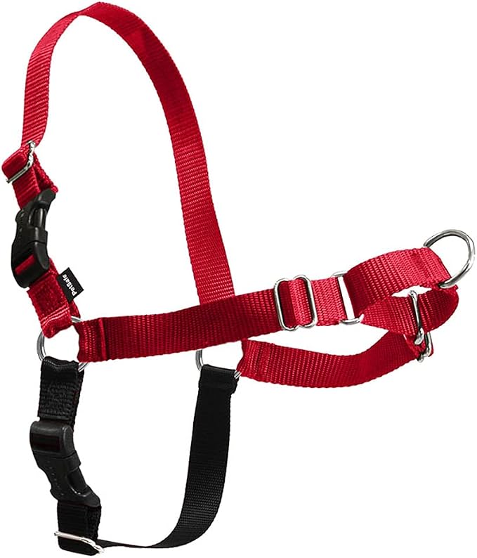 Gentle Leader Easy Walk Harness Large / Red