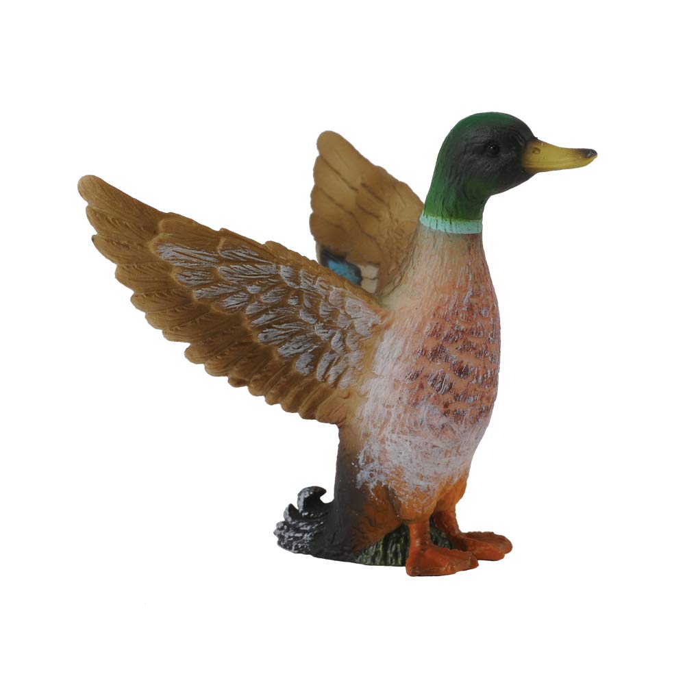 Collecta - Mallard Duck Male