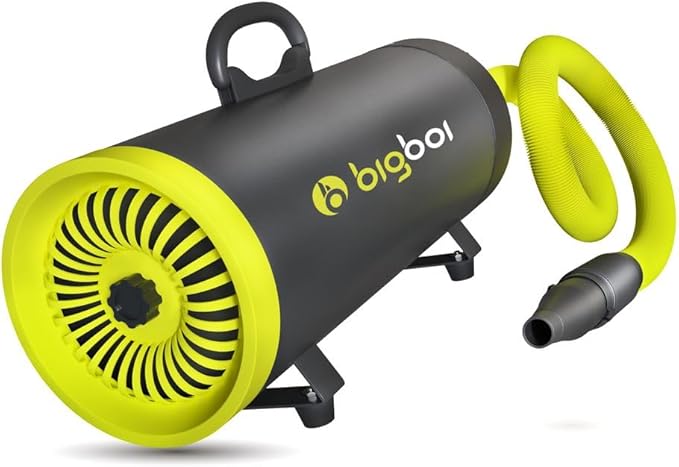 BigBoi BlowR Mini