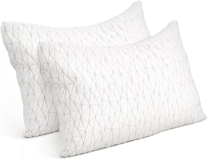 Giselle Bedding Rayon Memory Foam Pillow, Set of 2 - Single