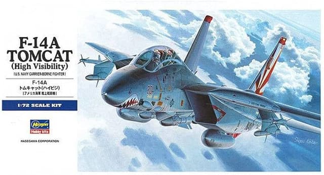 Hasegawa 1/72 F-14A Tomcat (High Visibility)