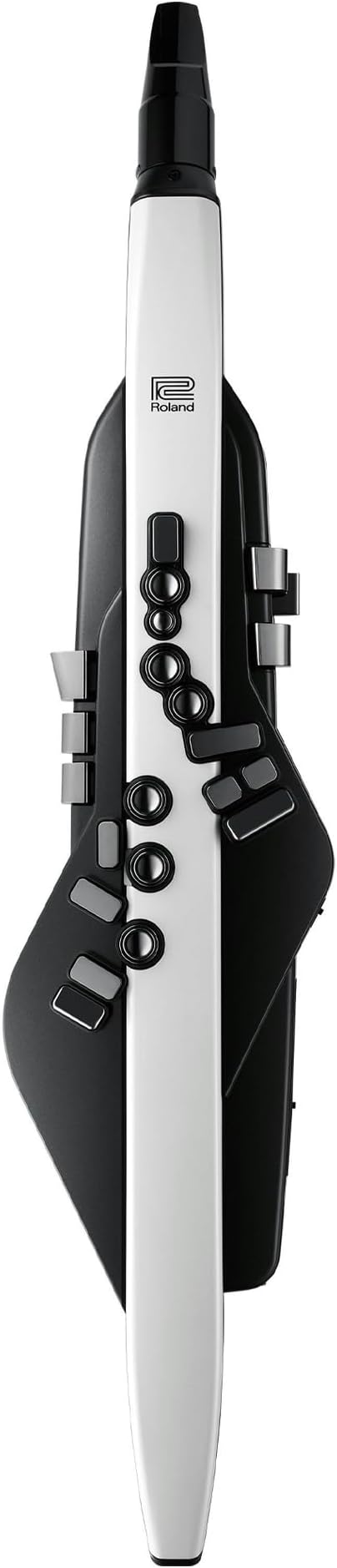 Roland Ae-20 Aerophone Digital Wind Instrument