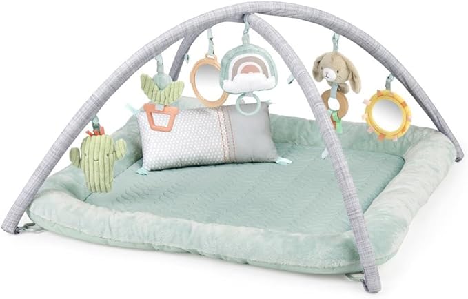 Ingenuity: Calm Springs Plush Activity Gym