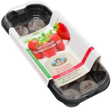 Mr Fothergill's Strawberry Temptation Windowsill Greenhouse Kit