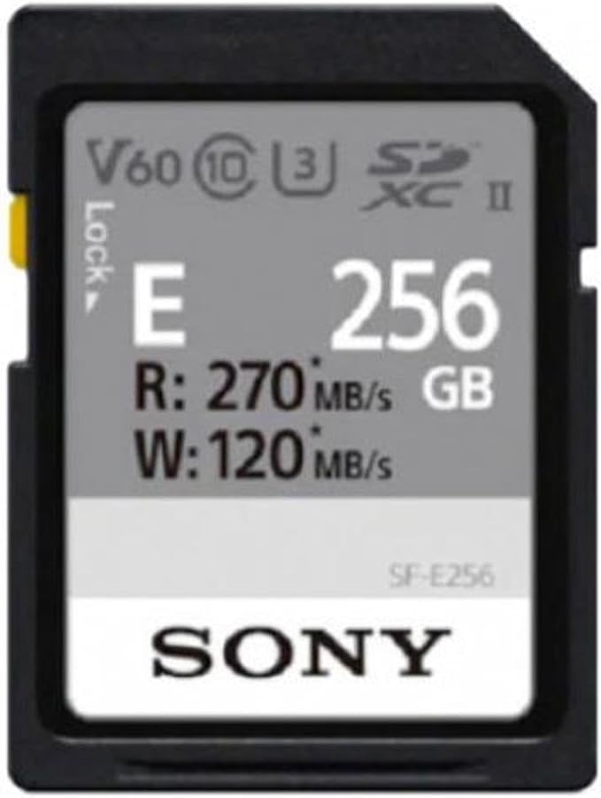 Sony - SF-E Series 256GB SDXC UHS-II Memory Card