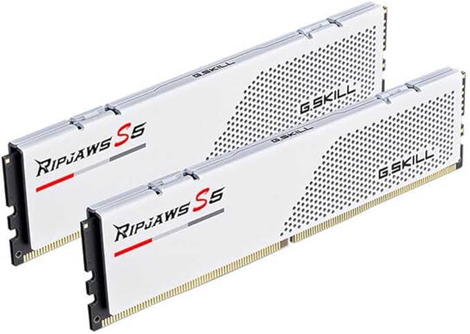 G.Skill Ripjaws S5 Series 64GB (2 x 32GB) 288-Pin PC RAM DDR5 5600 (PC5 44800) Desktop Memory Model F5-5600J3636D32GX2-RS5W