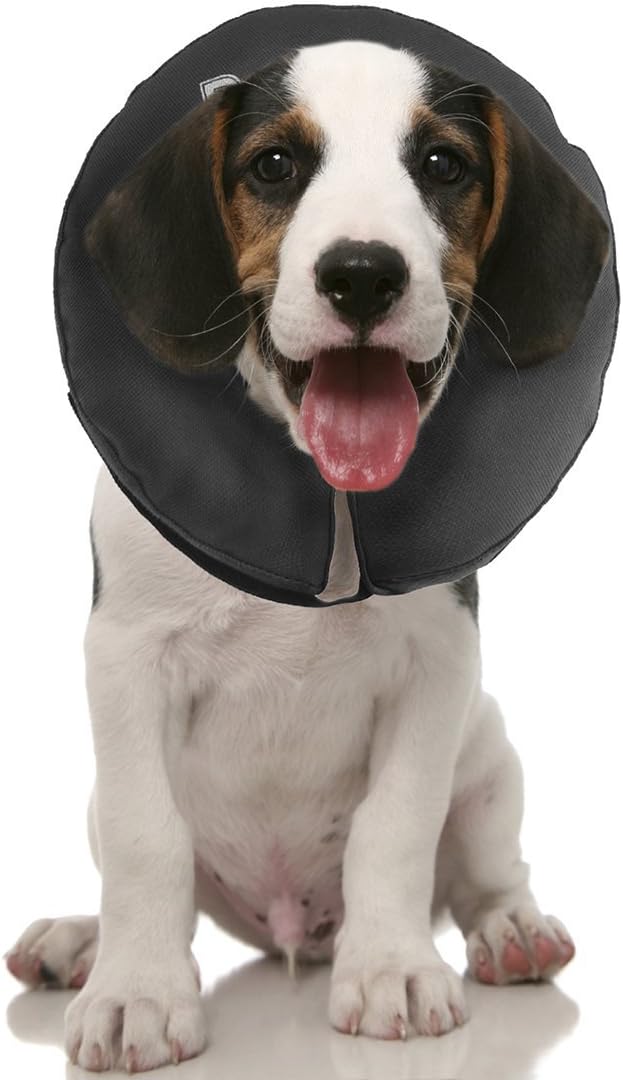 Zenpet Inflatable Recovery Collar-Small