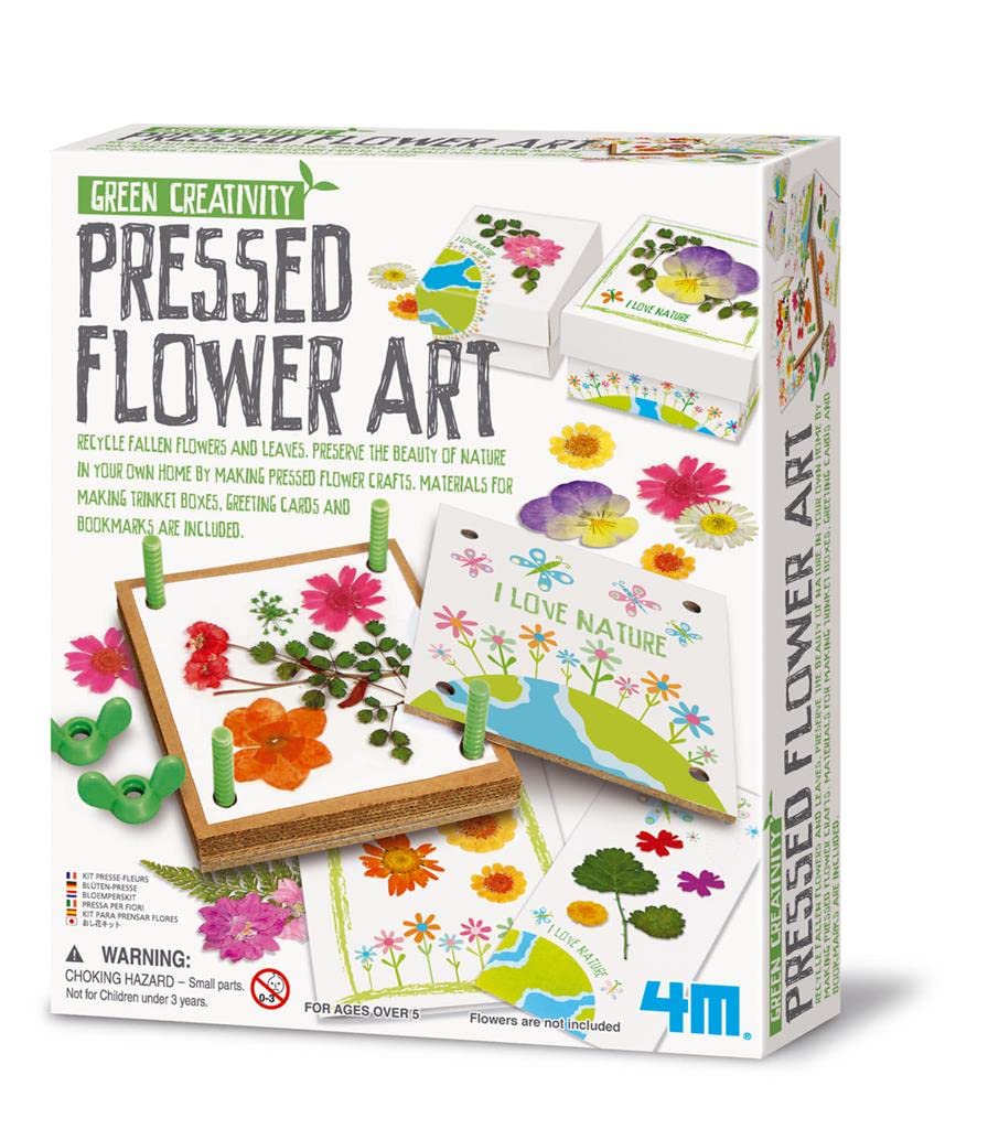 4M - Green Science - Pressed Flower Art