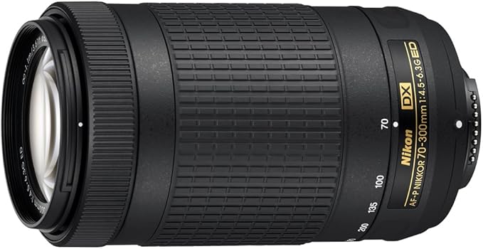 Nikon 70-300mm f/4.5-6.3G AF-P DX NIKKOR Ed VR Lens