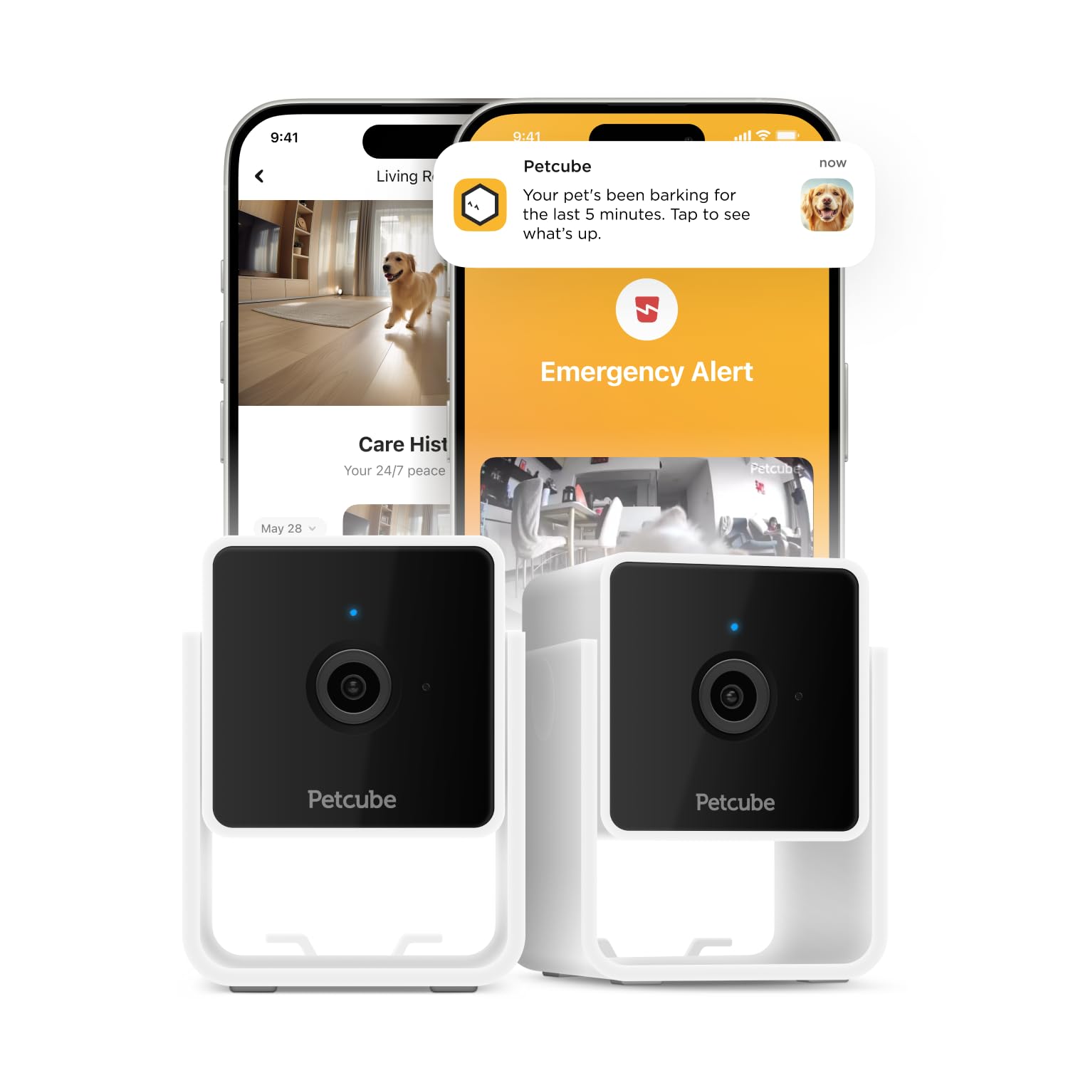 Petcube Pack of 2 Cam Indoor Wi-Fi Pet and Security Camera with Phone App, Pet Monitor with 2-Way Audio and Video, Night Vision, 1080p HD Video and 