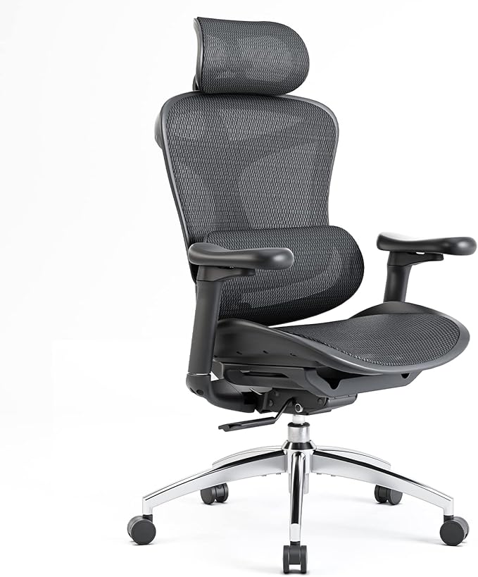 Ergonomic Office Chair | Sihoo Doro C300 Ergonomic Office Chair, Black