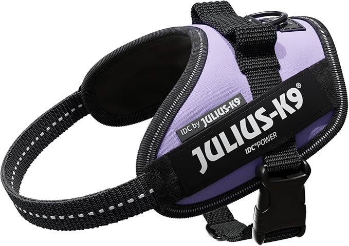 Julius-K9 IDC-Powerharness, Size Mini-Mini, Purple