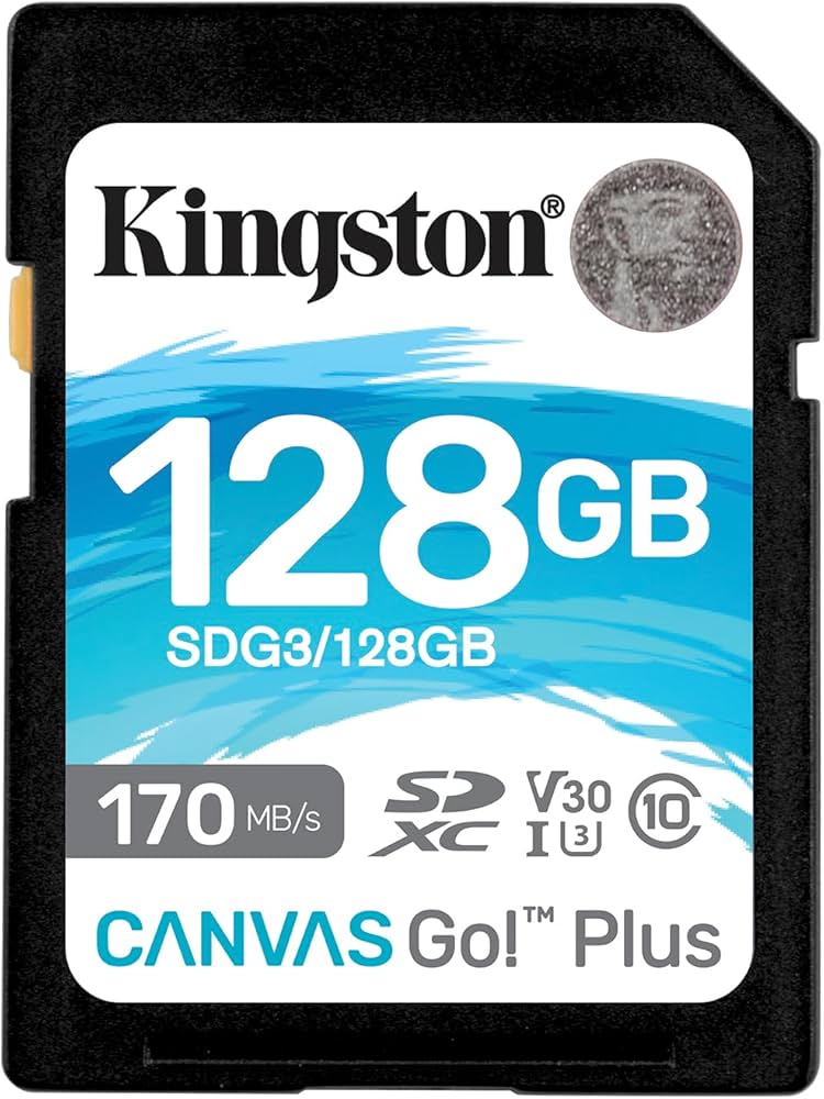 Kingston 128GB Canvas Go Plus UHS-I Class 10 Memory Card