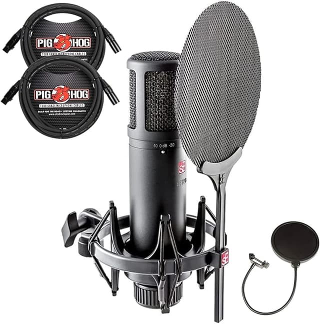 SE Electronics sE2200 Large Diaphragm Cardioid Condenser Microphone