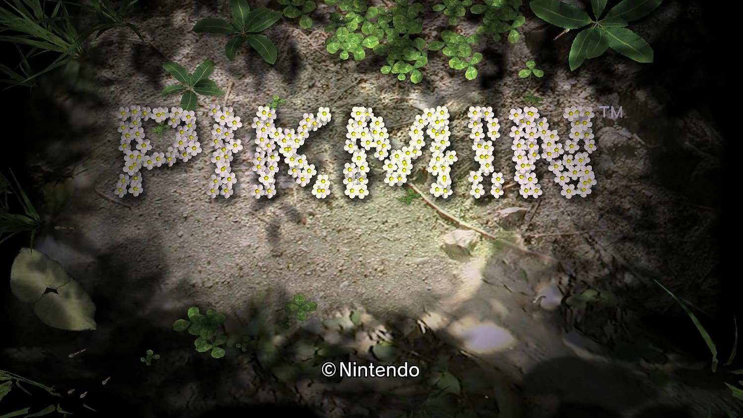Video Game for Switch Nintendo Pikmin + Pikmin 2
