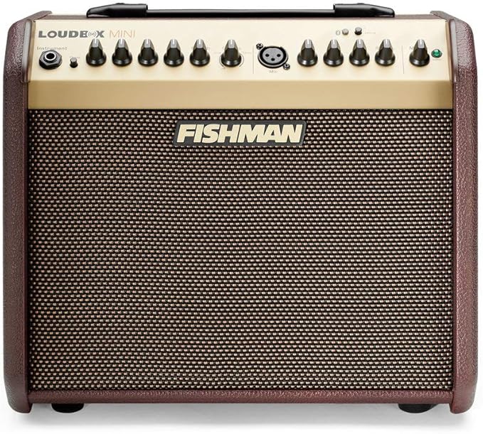 Fishman Loudbox Mini 60W Acoustic Guitar Combo Amplifier With Bluetooth