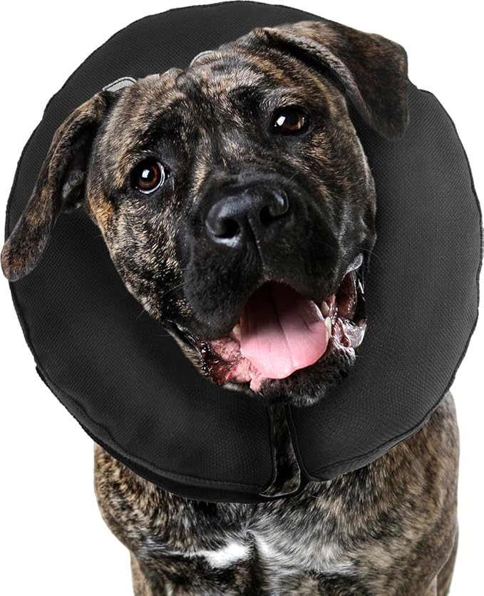 ZenPet 5914 Inflatable Collar, Black, 2XL