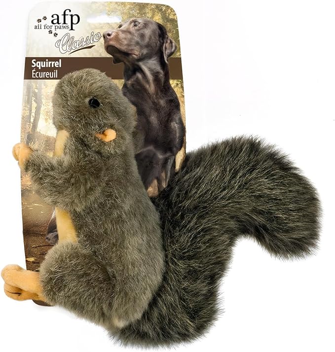 All For Paws Dog Toy Classic Squirrel SMALL**