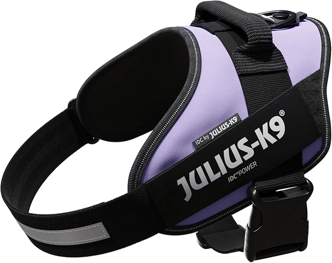 Julius K9 Harness 1 / Purple