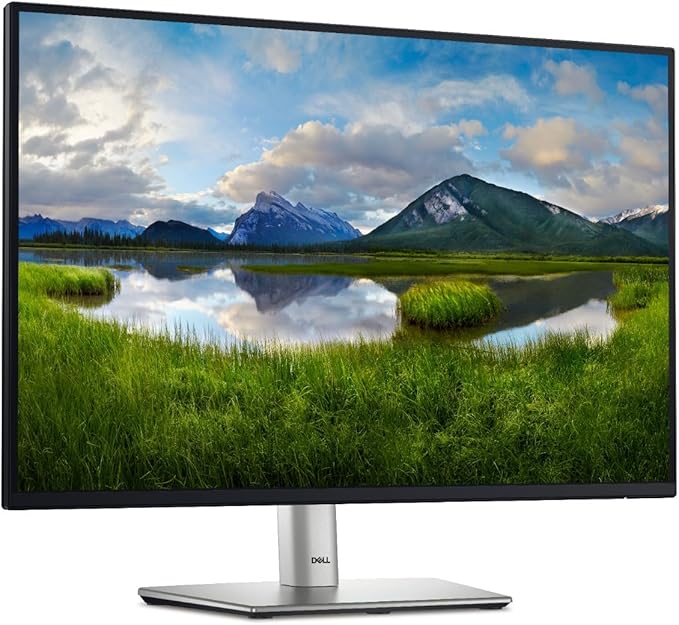 Dell P2425E 24" WUXGA 100Hz IPS USB-C Hub Business Monitor