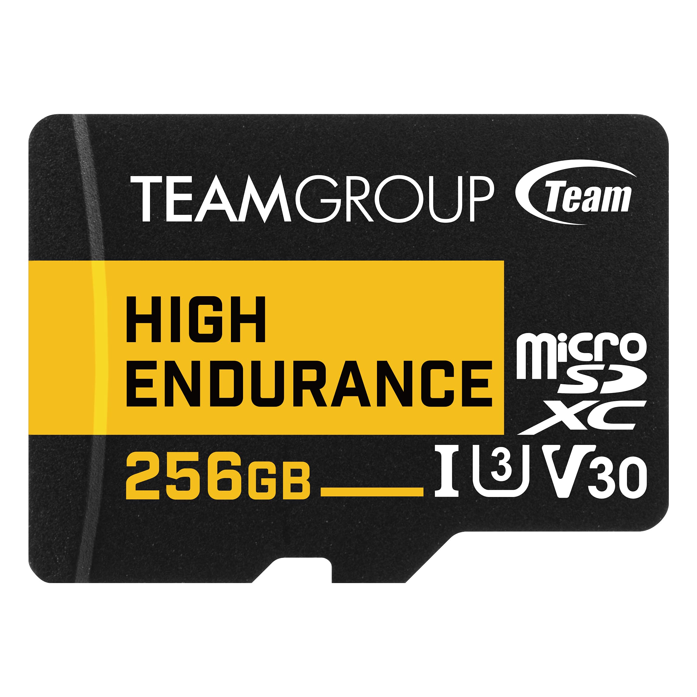 TEAMGROUP High Endurance Micro SDXC UHS I U3 V30 256GB
