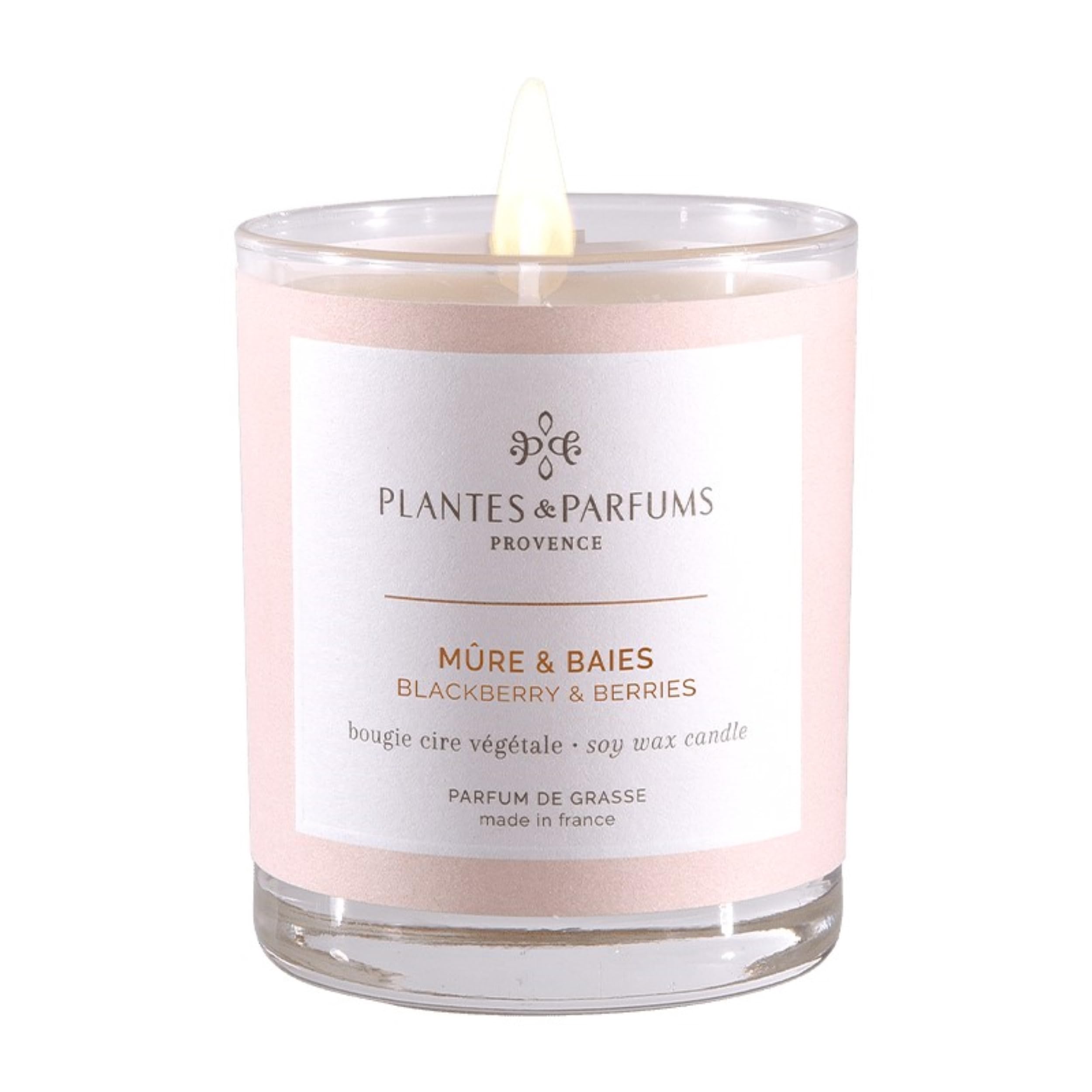 Plantes & Parfums -180g Handcrafted Perfumed Candle - Delights