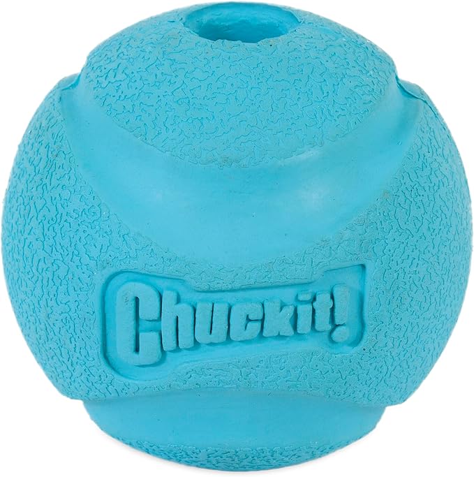 Chuckit Fetch Ball Dog Toy - Medium