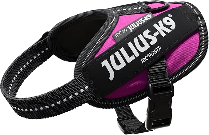 Julius-K9 IDC Powerharness, Size B2, Dark Pink