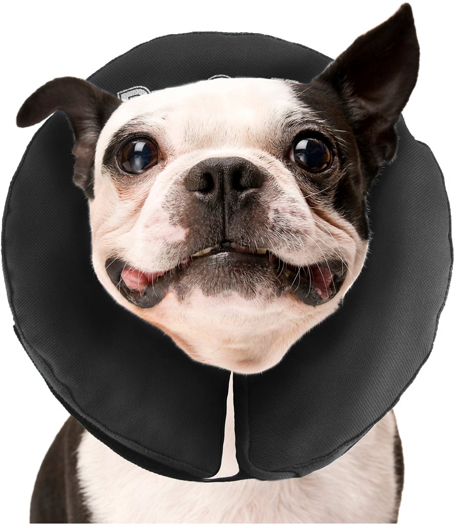 Zenpet Inflatable Recovery Collar-Medium