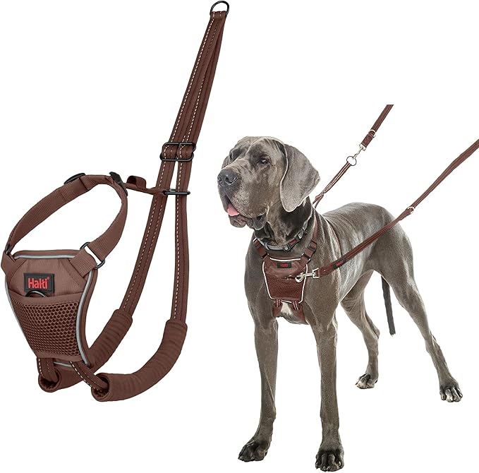 Halti No Pull Dog Harness in Black Size Small