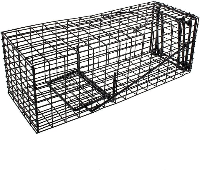 Bainbridge Small Trap