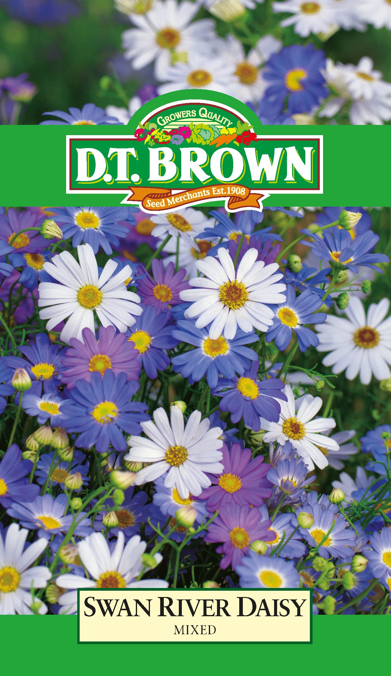 D.T. Brown Swan River Daisy Mixed 500 Seeds