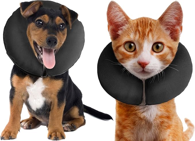 Zenpet Inflatable Recovery Collar-Extra Small