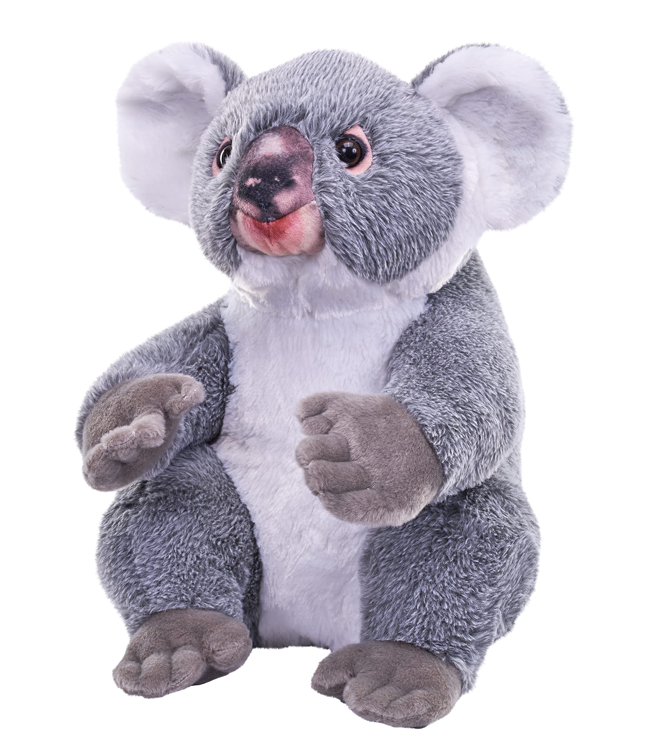 Wild Republic - Artist Collection Koala 38cm