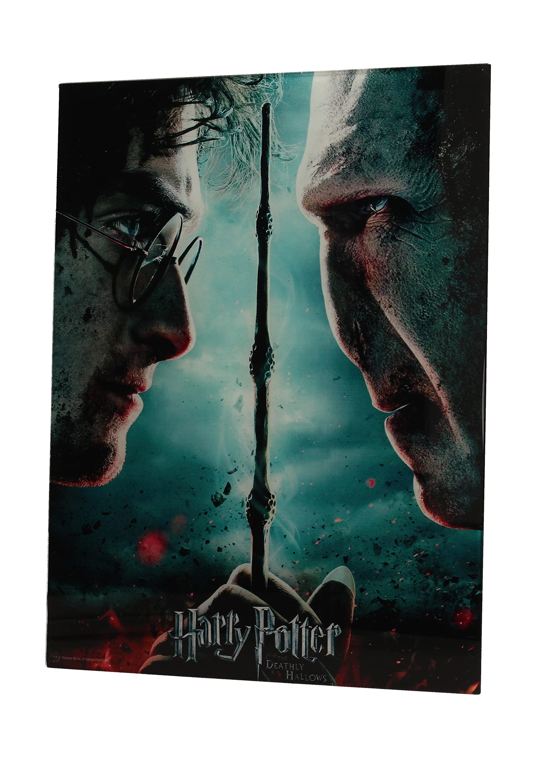 Harry Potter Jigsaw Puzzle Harry VS Voldemort