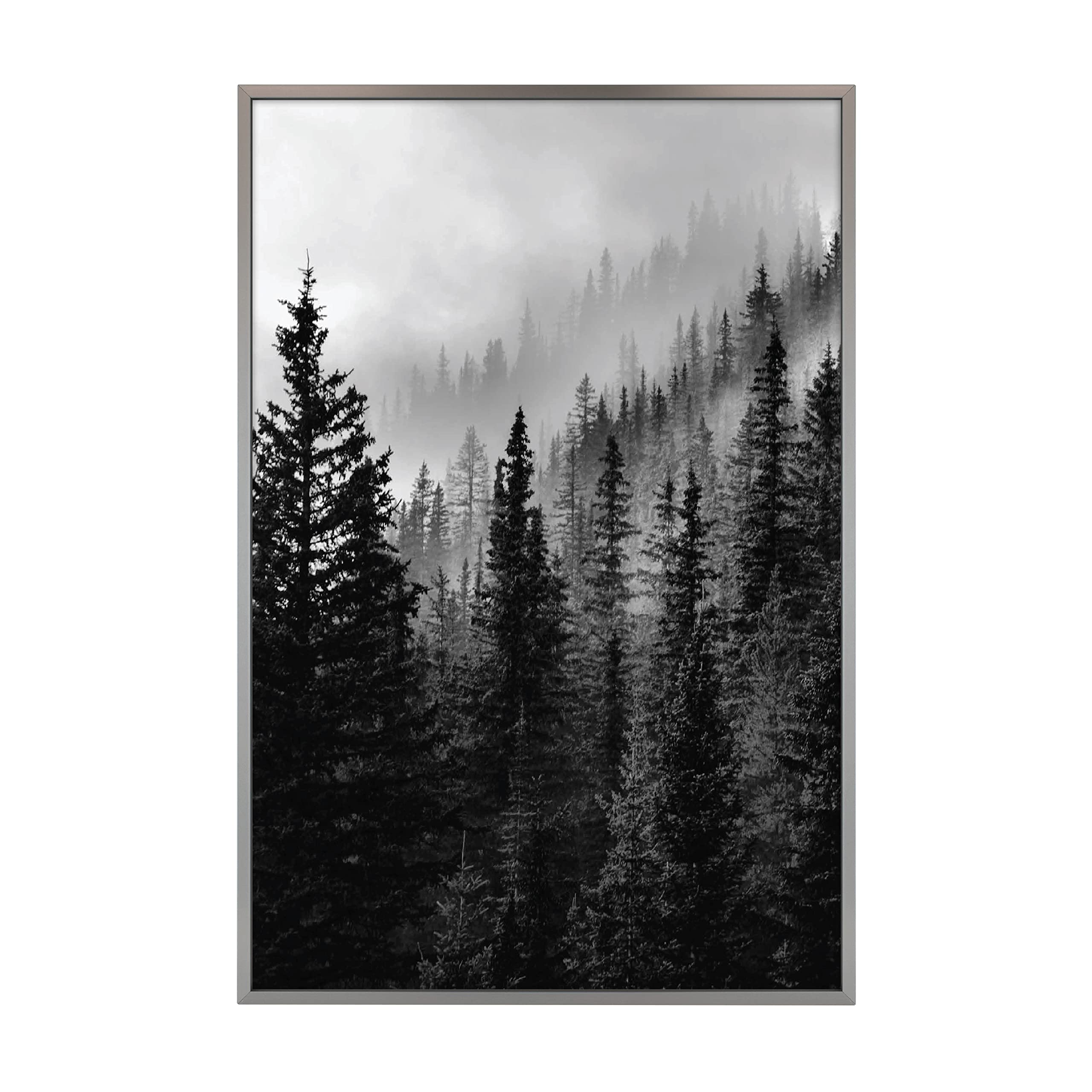 MCS Master & Co. Foundry Metal Gallery Wall Frame, Dark Silver, 16 x 24 in Without Mat