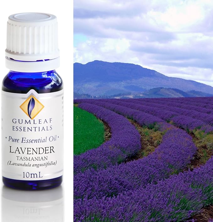 Lavender Tasmanian Pure Essential Oil 10ml