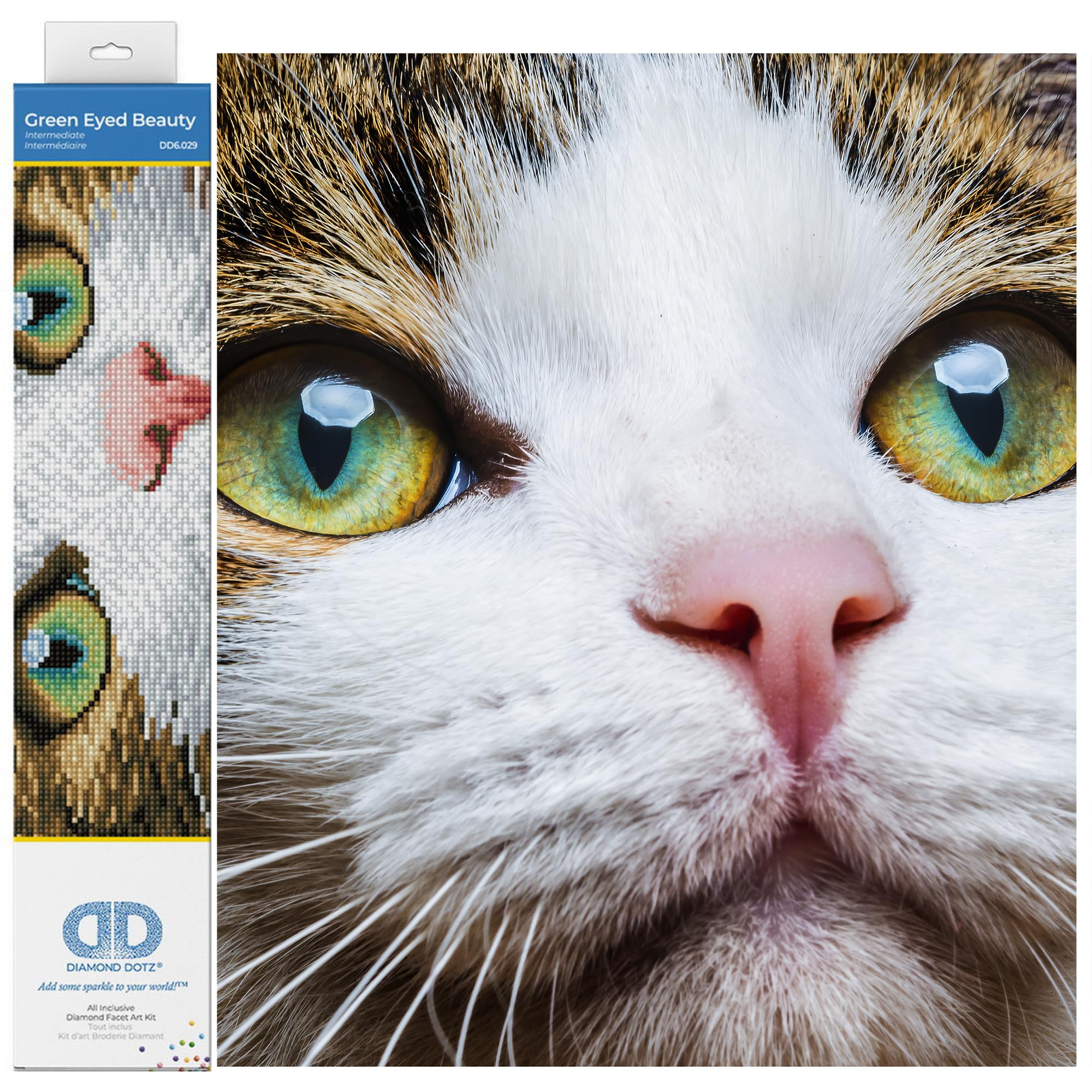 Diamond Dotz Green Eyed Beauty Kit