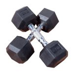 INSOURCE 1kg Rubber Hex Dumbbells - Pair