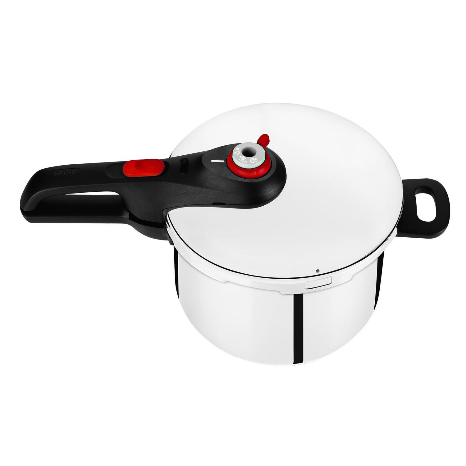Tefal - Fast & Easy Induction Stainless Steel Pressure Cooker 6L