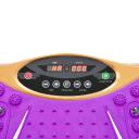 Advwin Vibration Machine Whole Body Workout Vibration Plate Exercise Machine Home Gym Fitness Equipment - Purple & Gold