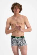 Bonds Icons Trunk in Zebra Check Size: Medium