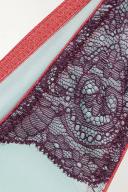 Dora Larsen + NET SUSTAIN Enid recycled lace and tulle briefs - Women - Light blue Briefs - XS