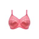 Elomi Cate Underwired Full Cup Banded Bra - Desert Rose 12FF EL4030 Plus Size Bra - AfterPay Available