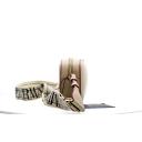 Emporio Armani - Deer-print Camera Case With Shoulder Strap, 100% Polyurethane, Nude, Size: OneSize