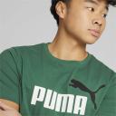 Essentials+ 2 Colour Logo Men's T-Shirt in Vine, Size Medium, Cotton/Polyester by Puma