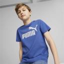 Essentials Logo T-Shirt - Youth 8-16 Years in Royal Sapphire, Size 2T, Cotton/Polyester by Puma