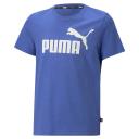 Essentials Logo T-Shirt - Youth 8-16 Years in Royal Sapphire, Size 2T, Cotton/Polyester by Puma